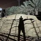 سماد غنم للبيع