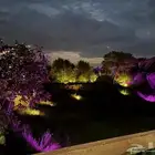 اضاءات للحدائق