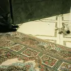 قطط