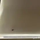 قريلات مكيفات مركزي لم تستخدم