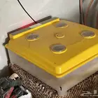 فقاسه مستعملة للبيع