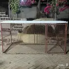 قفص للطيور