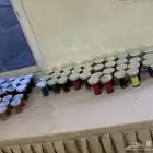 تاجير شيش معلمين شيش