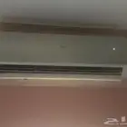 الوزيريه