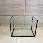 حوض سمك
