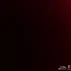 شقة