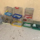 شبوك عصافير وهامستر