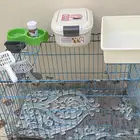 أغراض قطوه للبيع