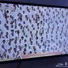 شاشة للبيع