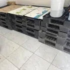 طبليات للبيع 30 ريال اليوم البيع
