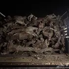 غظاء و ارطاء و سمر مستورد و محلي للبيع