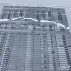 شبكه