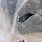 فلتر قير النترا2015
