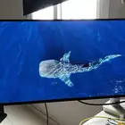 للبيع شاشة 27  OLED Acer predator 240Hz نظيفة   monitor arm