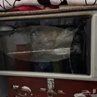 فرن كهربائي وطاولات