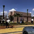 انخل نخل