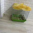 للبيع مع القفص