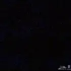 أريد تبني كلب إلي معاه كلب يبغى احد يتبناه أنا موجود