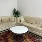 للبيع طاولة القهوة وطاولة تلفزيون وشجرة والكنب ب2000
