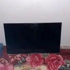 تلفزيون