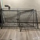 شبك مربع