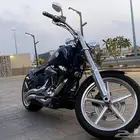 هارلي روكرسي
