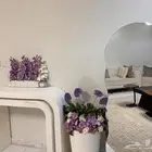 مدخل واستقبال مميز