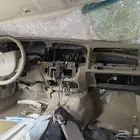 قشرة طبلون ماركيز