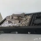 نار حاتم غاز