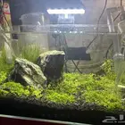 aquarium for sale