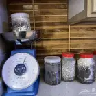 بذور طلح الفتنه 2024
