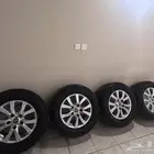 جنوط وكاله لاندكلوزر