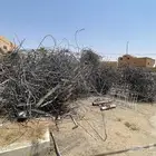 حديد تسليح صافي نظيف وكميته كبيره