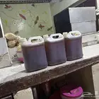 عسل سدر حضرمي