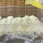 شعثا بتمر الخلاص بالسمن الظان واللتيح