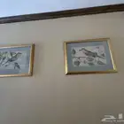 اثاث لوحه