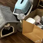 مستلزمات قطط