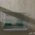 قفص للبيع كروان روز