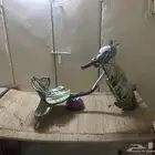 للبيع سكوتر ألوان اخضر اموره ممتازه و غيرت بطاريه قبل شهر