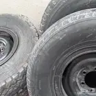 جنوط جيب