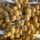 رطب برحي انتاج القطيف ( جملة و مفرد )