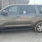 سكويا للبيع