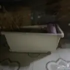 احواض زراعيه كبير