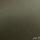 مطلوب جيب ربع مخبط