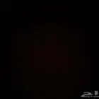 مدربة قيادة