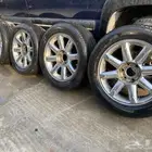 جنوط دينالي