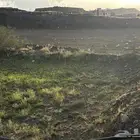مزرعة للايجار