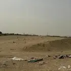 كوم بطحاء منخوله بدون حجر للبيع الكوم بالكامل