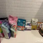 أكل قطط تراب قطط أكل ببغاء