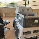 أقفاص كلاب مخصصة للسفر